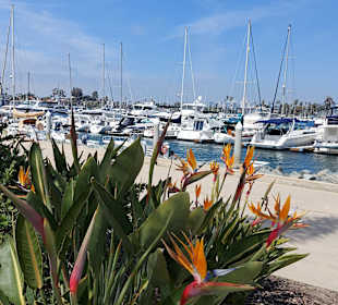 Hafen auf Coronado Island 