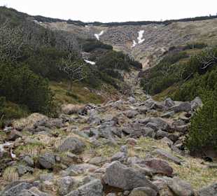 Berg Schneekoppe/Śnieżka
