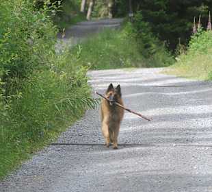 Wandern Curon Venosta / Graun im Vinschgau