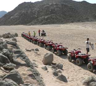 Wüstenerkundung auf dem Quad