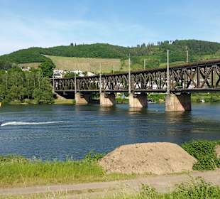 Wandern Alf an der Mosel