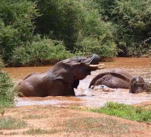 Ein erfrischendes Bad tut gut