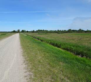 Eindrücke aus dem Teufelsmoor