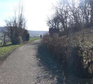 Wanderung Florianrunde