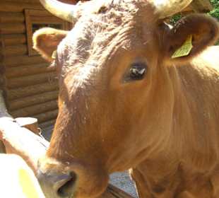 Tierpark Eilenburg