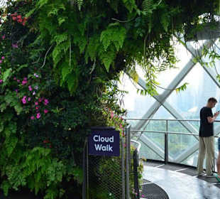 Gardens by the Bay