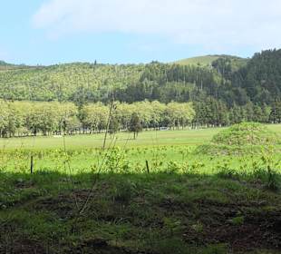 Auf dem Weg zum Wasserfall