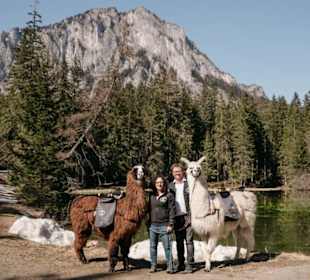 Unterwegs mit den Lamas