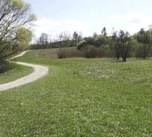 Sport- und Freizeitpark Markwasen