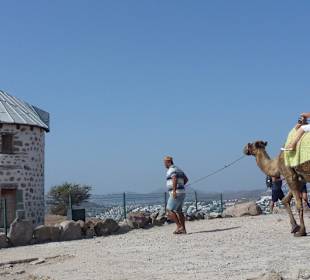 Bodrum