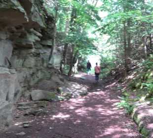 Wanderweg - Alter Steinbruch Pfaffenberg Runde