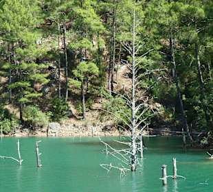 Green Canyon