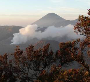 Mt. Bromo