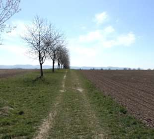 Geschichtlicher Lehrpfad Einsiedel