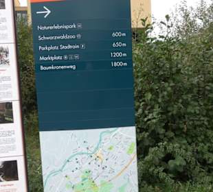 Baumkronenweg Waldkirch