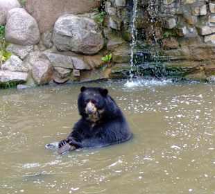 Abkühlung im Zoo Aschersleben