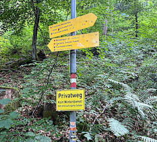 Wandern Fuschl am See