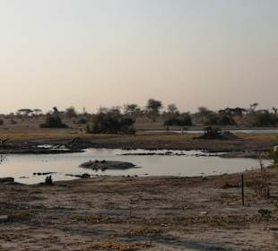 Chobe Nationalpark