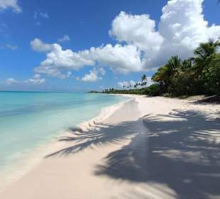 Saona Strand