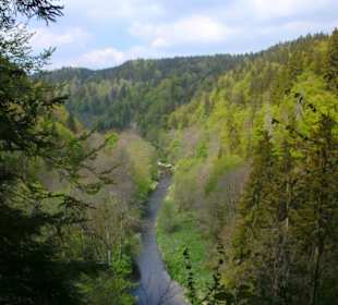 Blick auf die Wutach