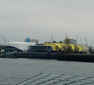 Musical König der Löwen