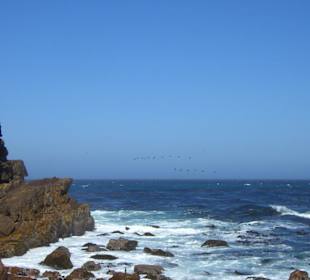 Kap der Guten Hoffnung