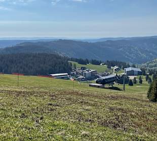 Wandern Feldberg