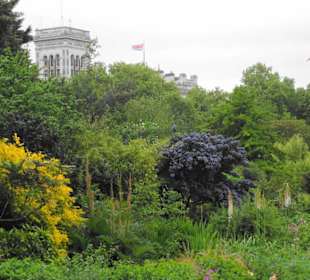 St. James´s Park Impressionen