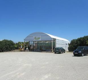 Aloe Vera Farm Mallorca