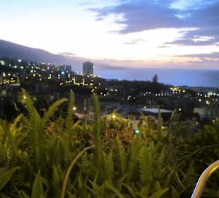 Puerto de la Cruz