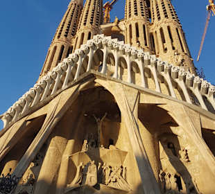 Katedra Sagrada Familia