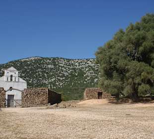Chiesa San Pietro di Golgo mit uralten Olivenbäumen
