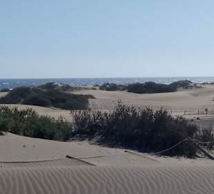 Dünen von Maspalomas