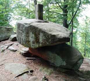 Pälzer Weltachs in Waldleiningen
