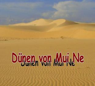 Dünenmeer