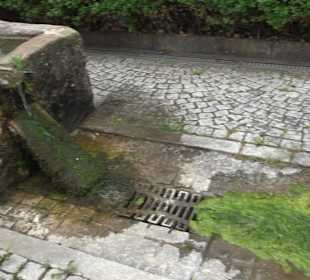 Rathaus Grünmettstetten