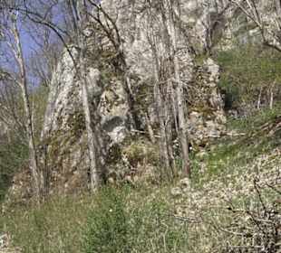 Waldlehrpfad an der Lauter