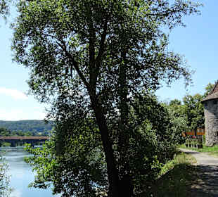 HolzbrückeHolzbrücke