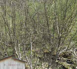 Waldlehrpfad an der Lauter