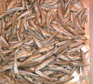 Rundgang über den Wochenmarkt von Aix-en-Provence