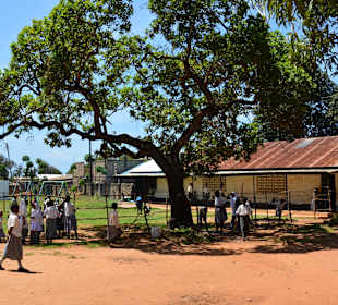 Bushtour / Ukunda Schule