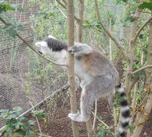 Zoopark Erfurt