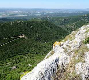 Blick vom Zedernwald in das Tal der Durance