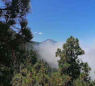 Pico del Teide