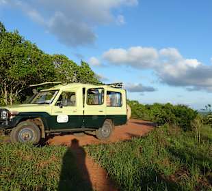 Mit D.M.Tours in den Shimba Hills 