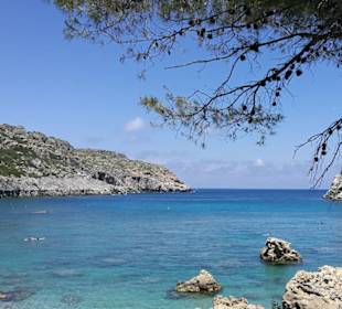 Anthony Quinn Bay