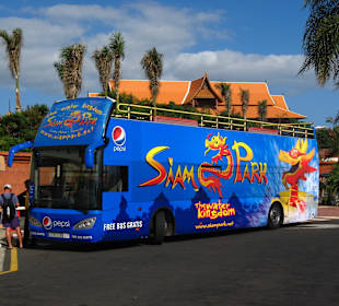 Siam Park Bus