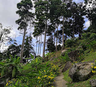 Paradise Park Farm