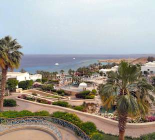 Überblick Tauchcenter SUBEX Hyatt Regency Sharm