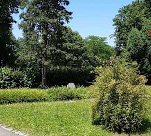 Friedhof Römerschanze